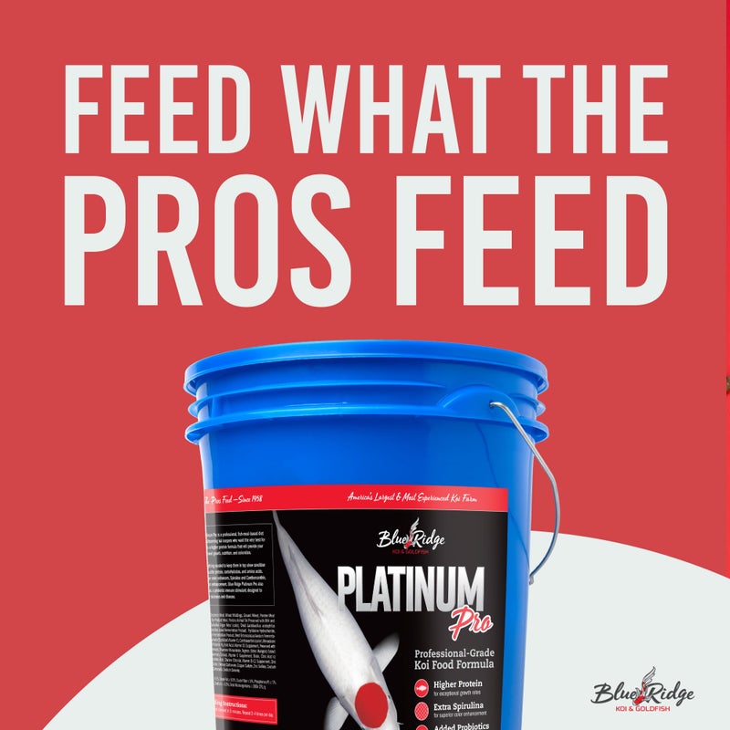 Blue Ridge Koi Fish Food 14lb - Koi Food 3/16” Platinum Pro Formula Goldfish Food, Premium Fish Food for Ponds, Ponds Fish Food, Floating Pond Pellet - Image 3