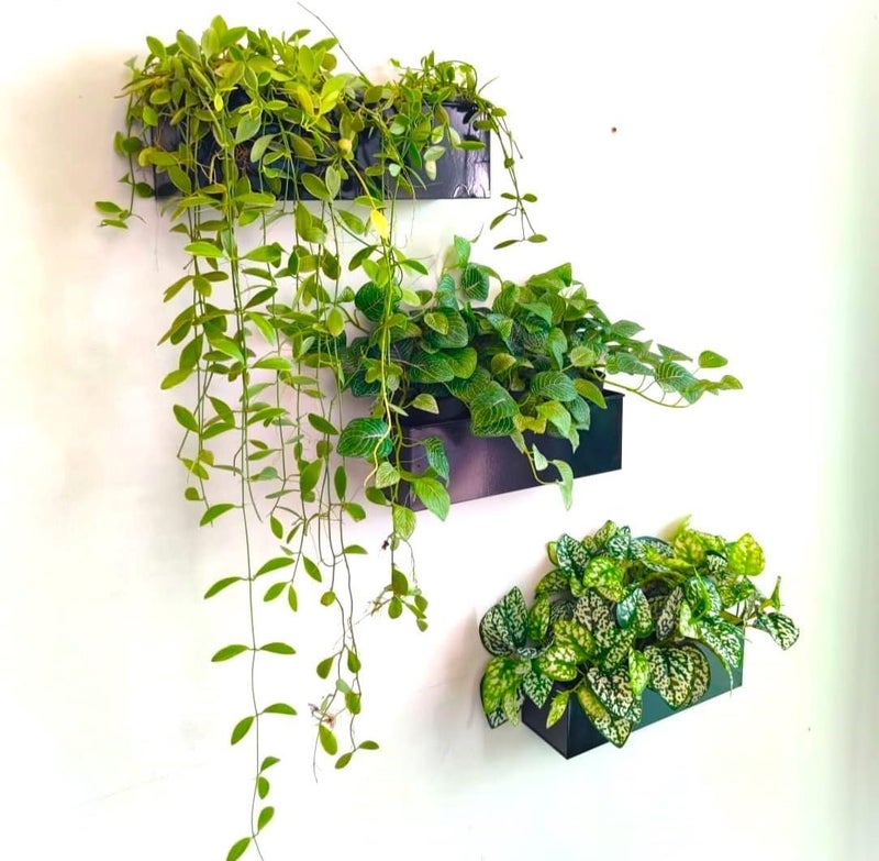 Lavish Craft Wall Planter 3 Pack, 12 Inch Large Wall Mount Succulent Planters Black, Rectangle Metal Flower Pot Window Planter Box Fence Railings Minimalist Floating Shelve Indoor Outdoor (Black) - Image 3