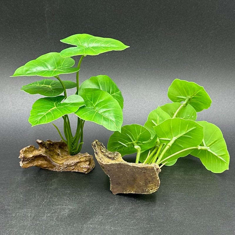 Smoothedo-Pets Fish Tank Decor Aquarium Decorations Ornaments Betta Leaf pad Hammock 6inch Plastic Artificial Plant Goldfish Fish Hides Small Tank/Reptiles Plants Driftwood (Green-Type-A-Set) - Image 4