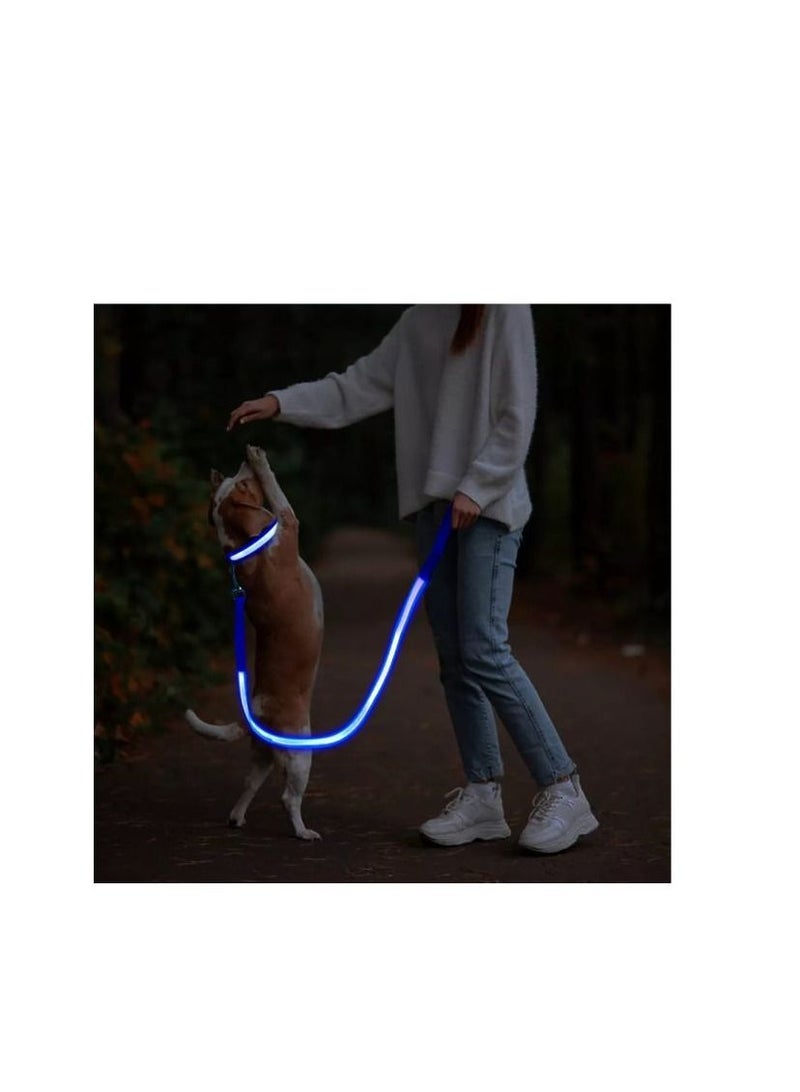 Ultra High Night Visibility USB Rechargeable Flashing Pet Leash Glow in The Night Black Large - Image 2