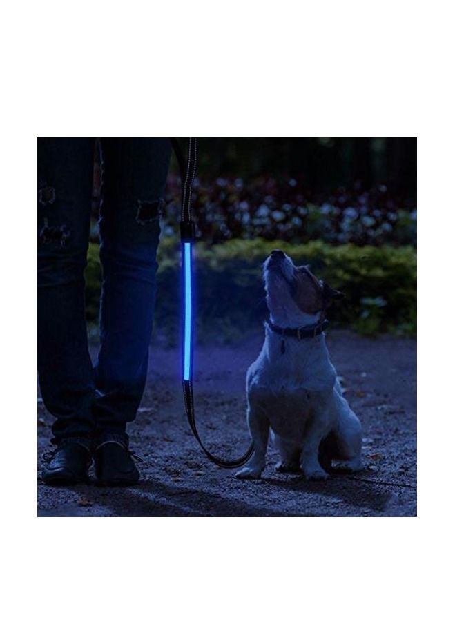 Ultra High Night Visibility USB Rechargeable Flashing Pet Leash Glow in The Night Black Large - Image 1