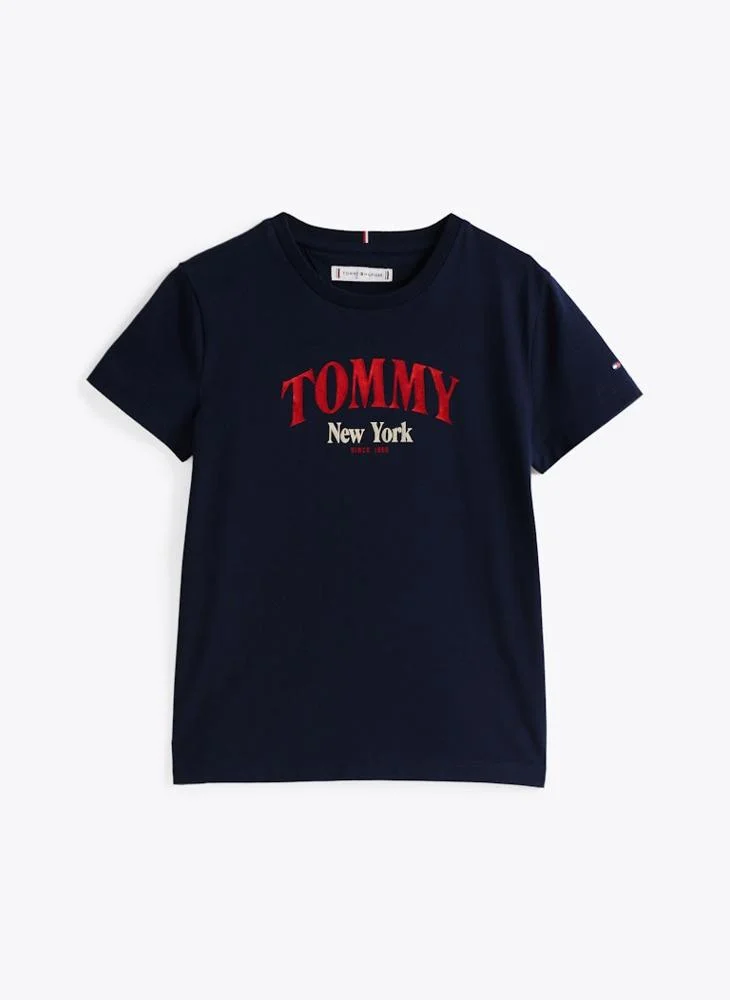 تومي هيلفيغر VARSITY REGULAR TEE SS