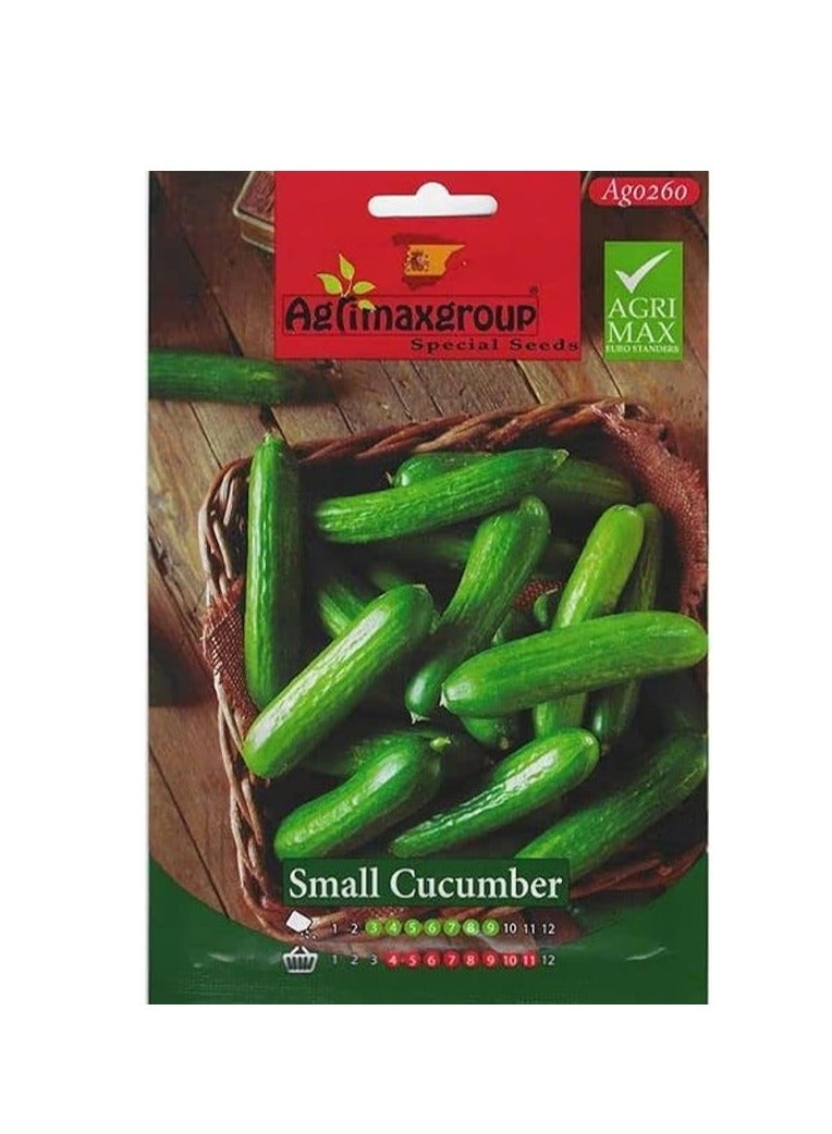 Small Cucumber Premium Quality Seeds by Agrimaxgroup® "Garden Care"