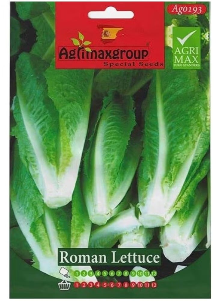 أجريماكس بذور الخس الروماني عالية الجودة