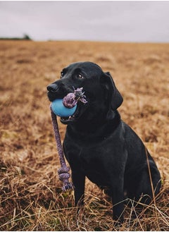 BECO Beco Rubber Ball on Rope Dog Toy Multicolor  - Image 3