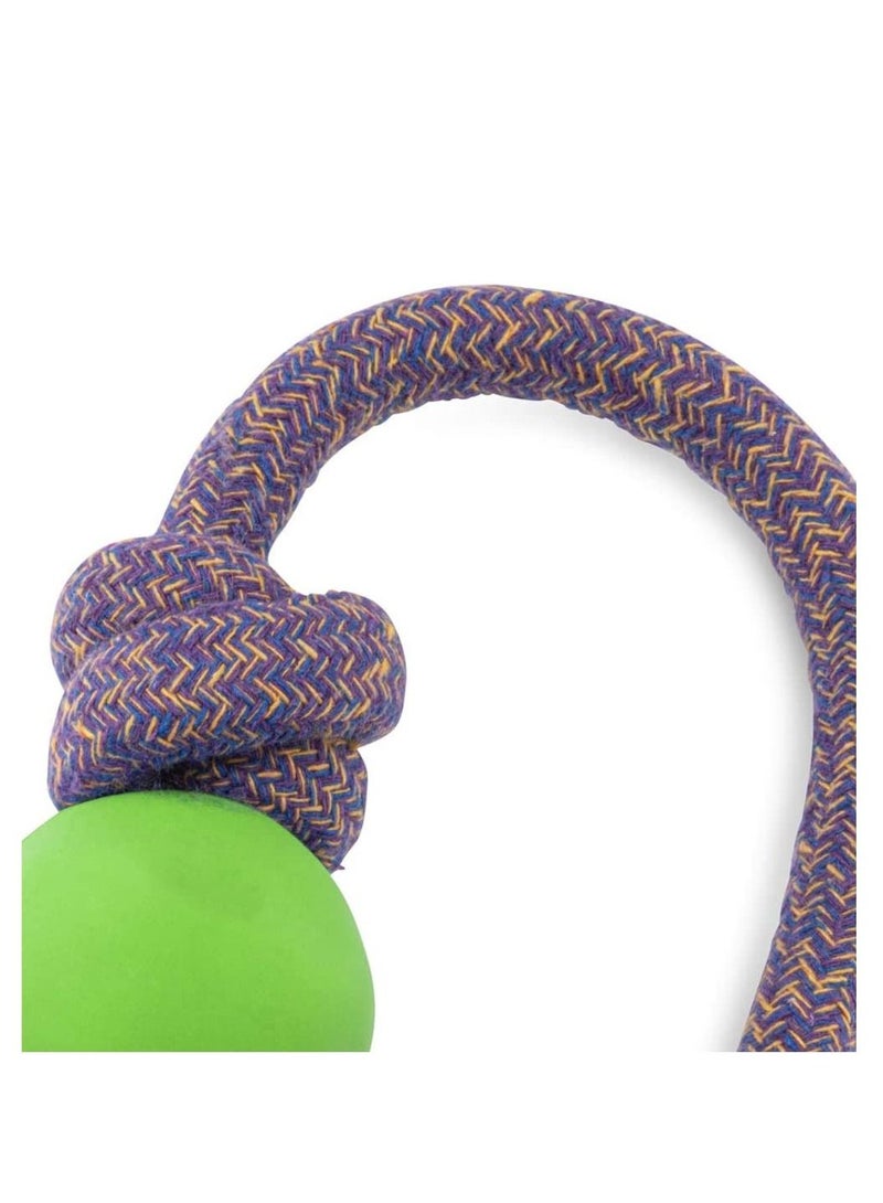 Beco Rubber Ball on Rope Dog Toy Multicolor - Image 2
