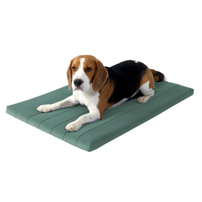 BALANCE Dog Crate Bed, Orthopedic Dog Bed Pad with Waterproof Liner, Washable Crate Foam Pet Mat for Large, Medium, Puppy Dogs Breeds, Mint Leaf, 36â€œx23â€x1.6â€œ - Image 1