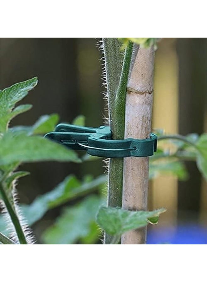 Rubik 20 قطعة مشابك دعم النباتات للحديقة بحجمين، مشابك سيقان النباتات القابلة للتعديل للخضروات، الطماطم، الكروم (أخضر) - Image 2