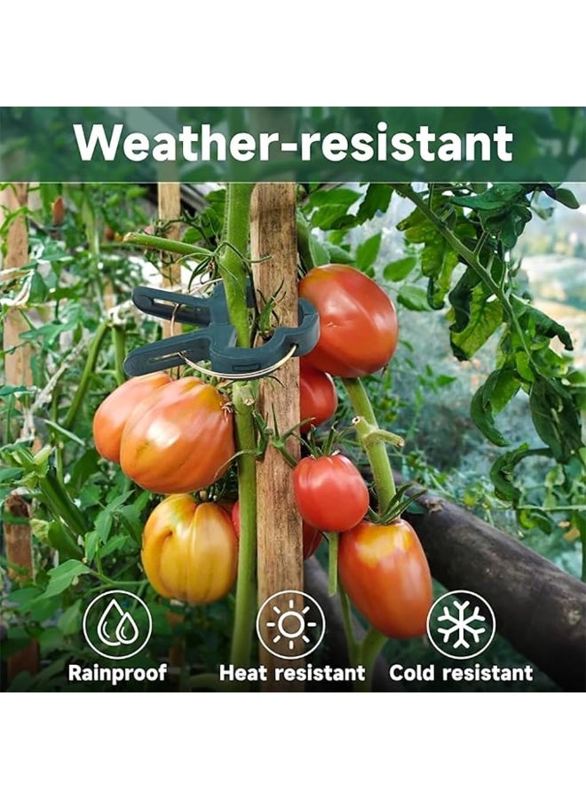 Rubik 20 قطعة مشابك دعم النباتات للحديقة بحجمين، مشابك سيقان النباتات القابلة للتعديل للخضروات، الطماطم، الكروم (أخضر) - Image 5