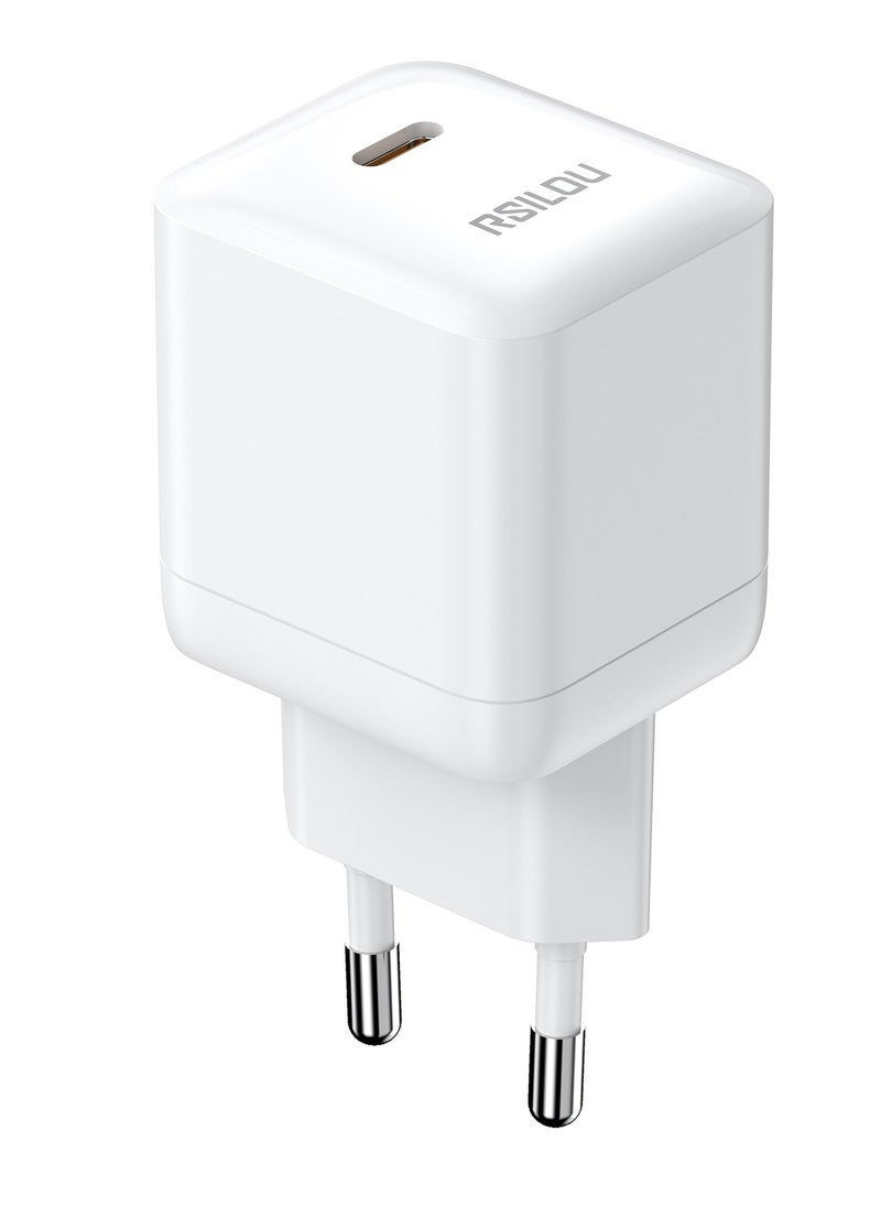شاحن R4262 30 وات USB-C فائق السرعة، الطاقة والسرعة والأمان في تصميم واحد صغير الحجم، GaN، يدعم أجهزة Apple وجميع الهواتف الذكية والأجهزة اللوحية وسماعات الرأس التي تعمل بتقنية البلوتوث وغيرهم, حماية متعددة