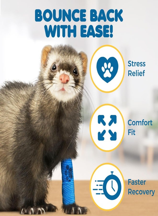 SunGrow Cat Self-Adhesive Bandage, Wound Care, Cuts, Post-Surgery, Hot Spots, 2”(W), Stretchable from 4” to 7”, Breathable Vet Wrap Gauze, 2 Rolls Per Color (Yellow, Blue, Green), 6 Pcs Per Pack - Image 3