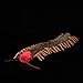 ZHONGXIN MADE Centipede Plush Lifelike 24 Centipede Stuffed Animal Realistic Insect Plushie Soft Crustaceans Animal Toy Model Doll Gift for Kids - Image 2