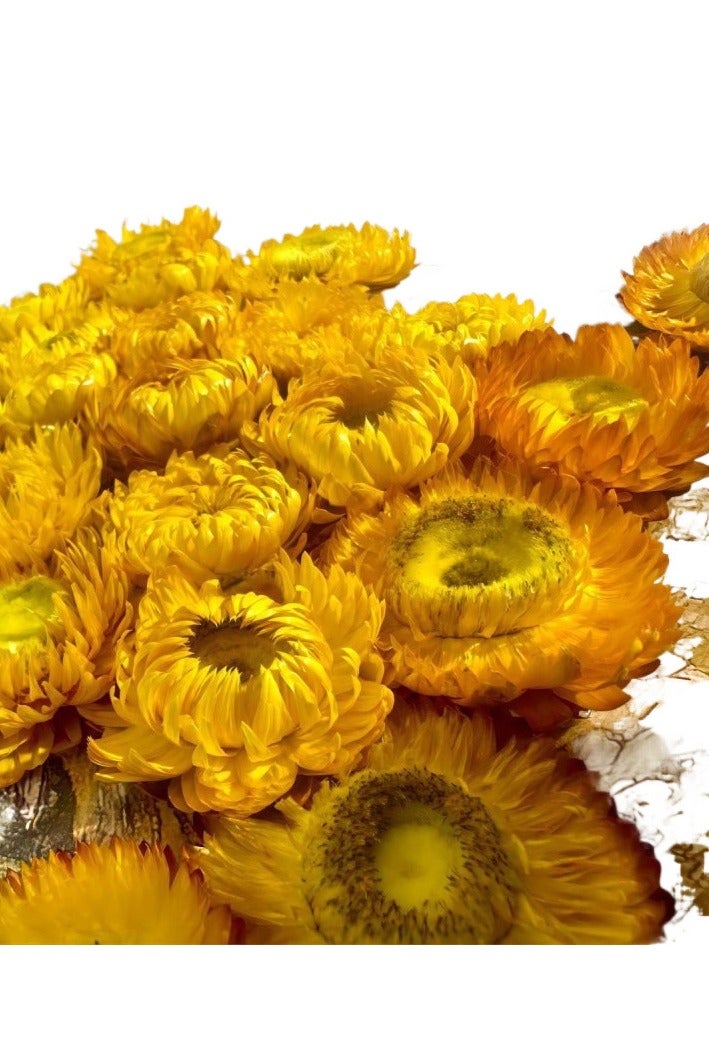 M MIAOYAN Sunflower Preserved Flower 3D Photo Frame | Handmade Luxury Table Decor | Creative Birthday Gift  - Image 4