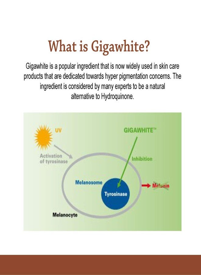 Hyalogic Age Spot Face Serum - Dark Spot Corrector Enriched w/Hyaluronic Acid & Gigawhite - Episilk Brightening Serum to Lighten & Tone Age Spots & Wrinkles & Fine Lines 1 Fl. oz. - Hyalogic Brand - Image 5