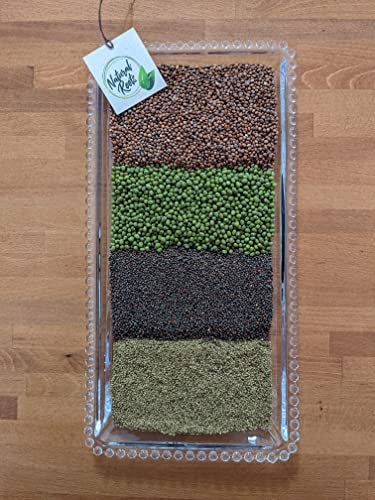 NATURAL ROOTS Variety Pack Sprouting Seeds. One Pound. Includes one Pack of Broccoli, Alfalfa, Radish & Mung Beans. for Sprouts and Microgreens. Non-GMO. Seeds for Jar or Trays. Each Pack is a Quarter Pound - Image 3