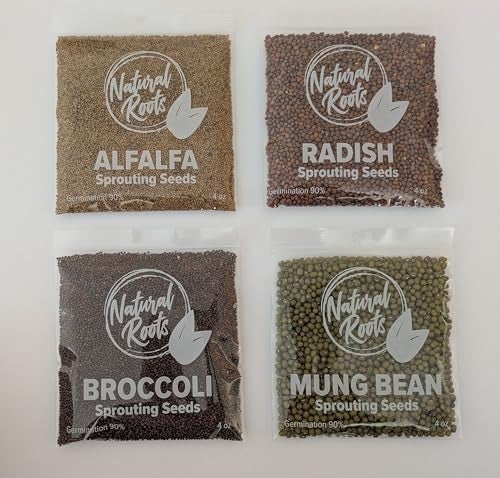 NATURAL ROOTS Variety Pack Sprouting Seeds. One Pound. Includes one Pack of Broccoli, Alfalfa, Radish & Mung Beans. for Sprouts and Microgreens. Non-GMO. Seeds for Jar or Trays. Each Pack is a Quarter Pound - Image 2