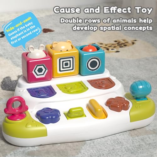 PANITU Baby Pop Up Animal Toys with Buttons & Colors, Montessori Cause and Effect Toys for Boys Girls, Kids, Toddlers, Babies – 9 Months + - Image 4