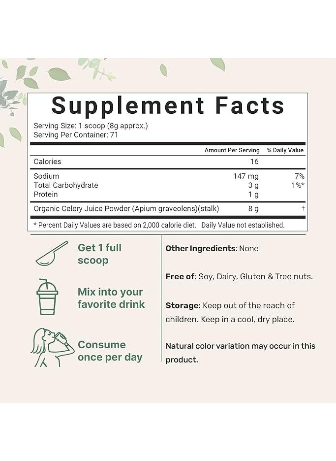 Micro Ingredients - Organic Cold-Pressed Celery Juice Powder 20 oz - Image 1