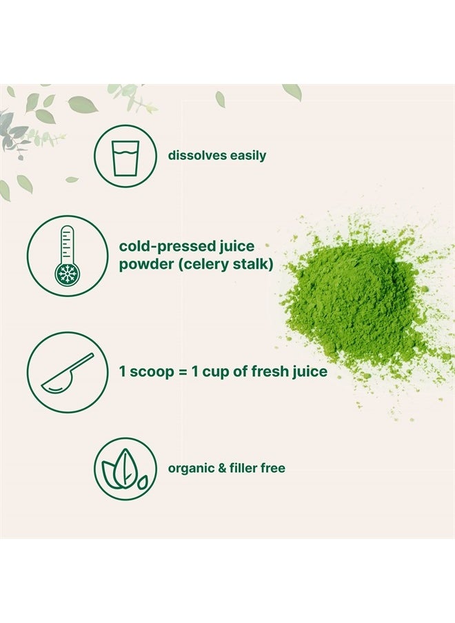 Micro Ingredients - Organic Cold-Pressed Celery Juice Powder 20 oz - Image 1