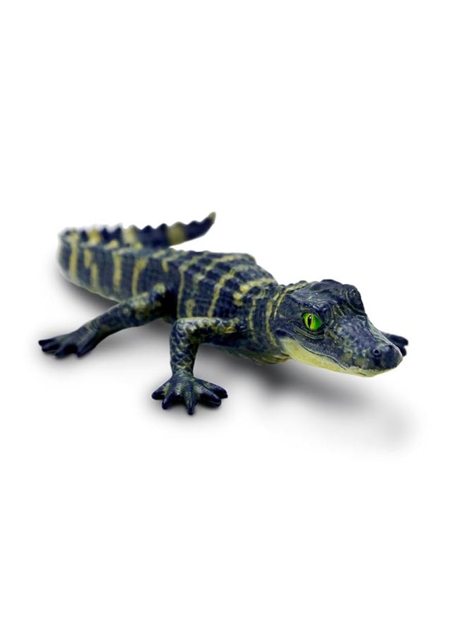 Safari Ltd Safari Ltd. Alligator Baby Figurine - Detailed and Lifelike 4.5" Toy Figure - Fun and Educational for Boys, Girls & Kids Ages 3+  - Image 3