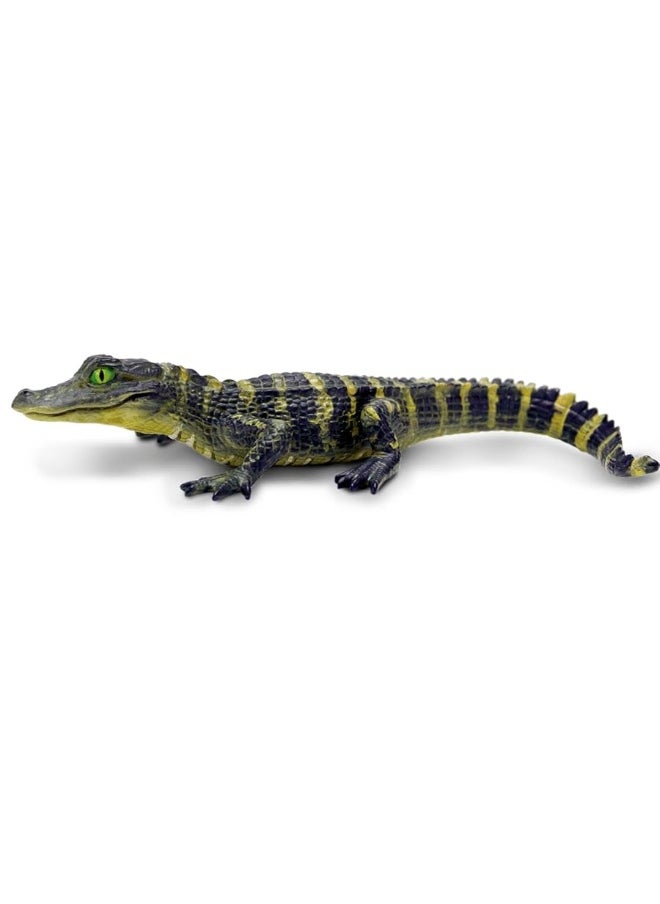 Safari Ltd Safari Ltd. Alligator Baby Figurine - Detailed and Lifelike 4.5" Toy Figure - Fun and Educational for Boys, Girls & Kids Ages 3+  - Image 4