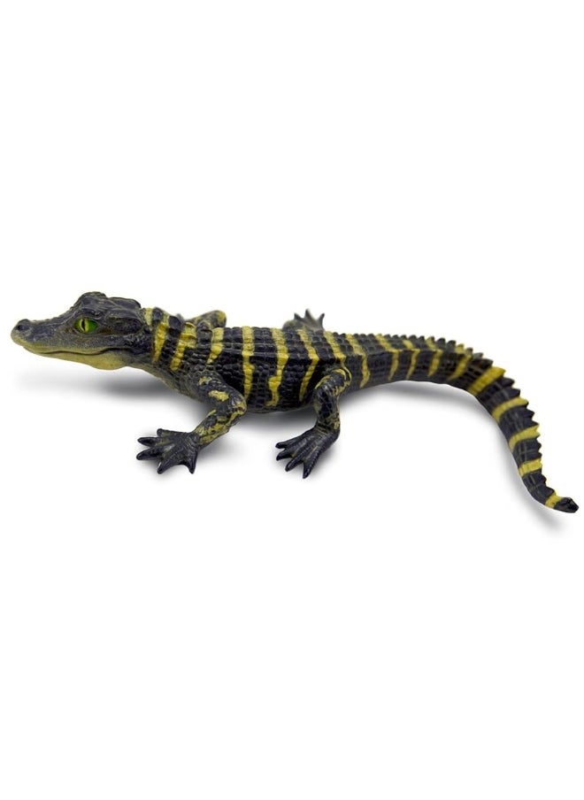 Safari Ltd Safari Ltd. Alligator Baby Figurine - Detailed and Lifelike 4.5" Toy Figure - Fun and Educational for Boys, Girls & Kids Ages 3+  - Image 2