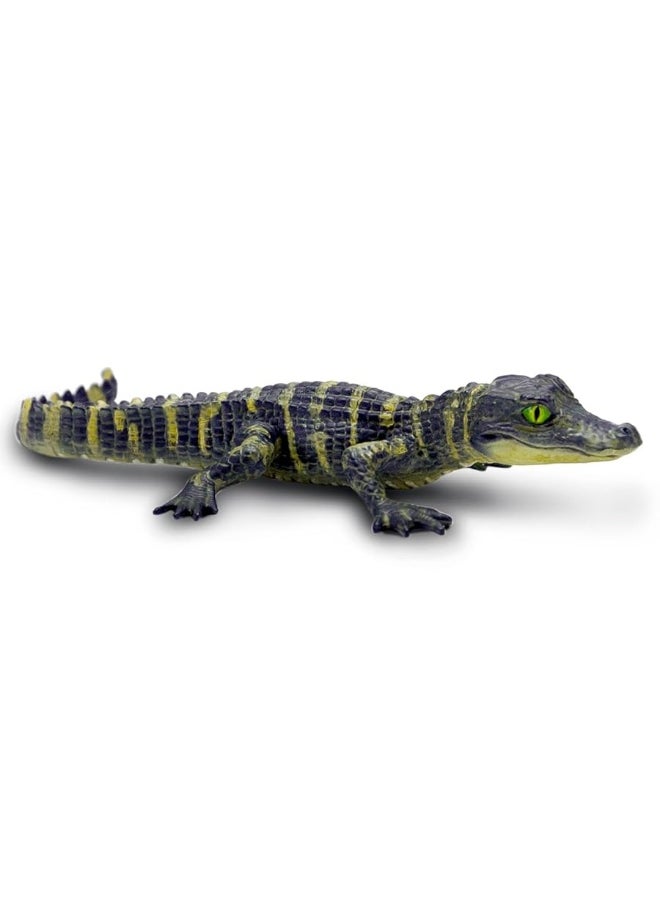 Safari Ltd - Safari Ltd. Alligator Baby Figurine - Detailed and Lifelike 4.5" Toy Figure - Fun and Educational for Boys, Girls & Kids Ages 3+ - Image 1