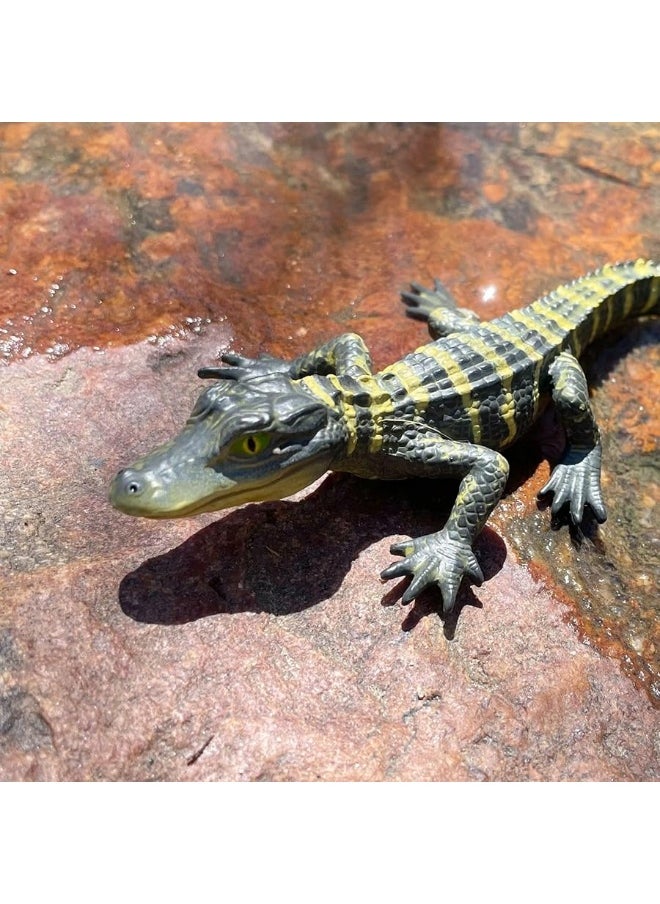 Safari Ltd Safari Ltd. Alligator Baby Figurine - Detailed and Lifelike 4.5" Toy Figure - Fun and Educational for Boys, Girls & Kids Ages 3+  - Image 5