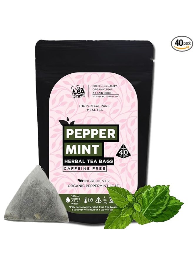 the tea trove Peppermint 40pcs biodegradable pyramid tea bags pouch - Image 1