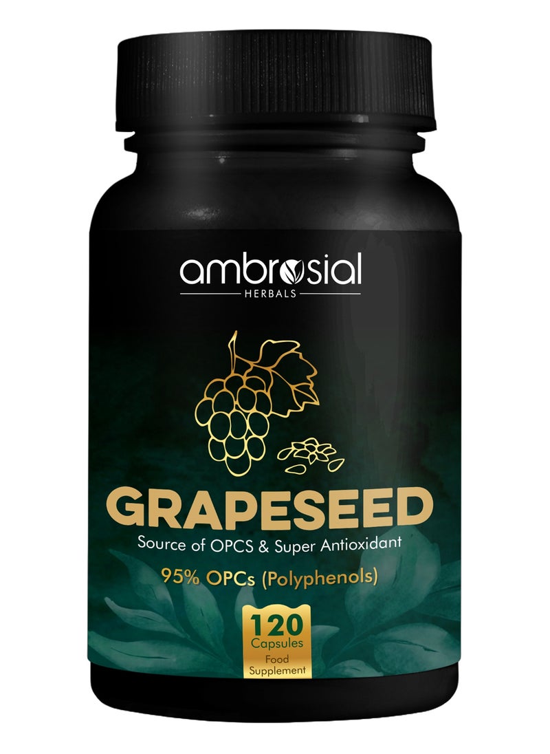 ambrosial - Ambrosial Grape Seed Extract Capsules 95% OPCs Polyphenols High Strength Grape Seed Supplement Strong Antioxidant Pack of 1-120 Vegan Capsules - Image 1