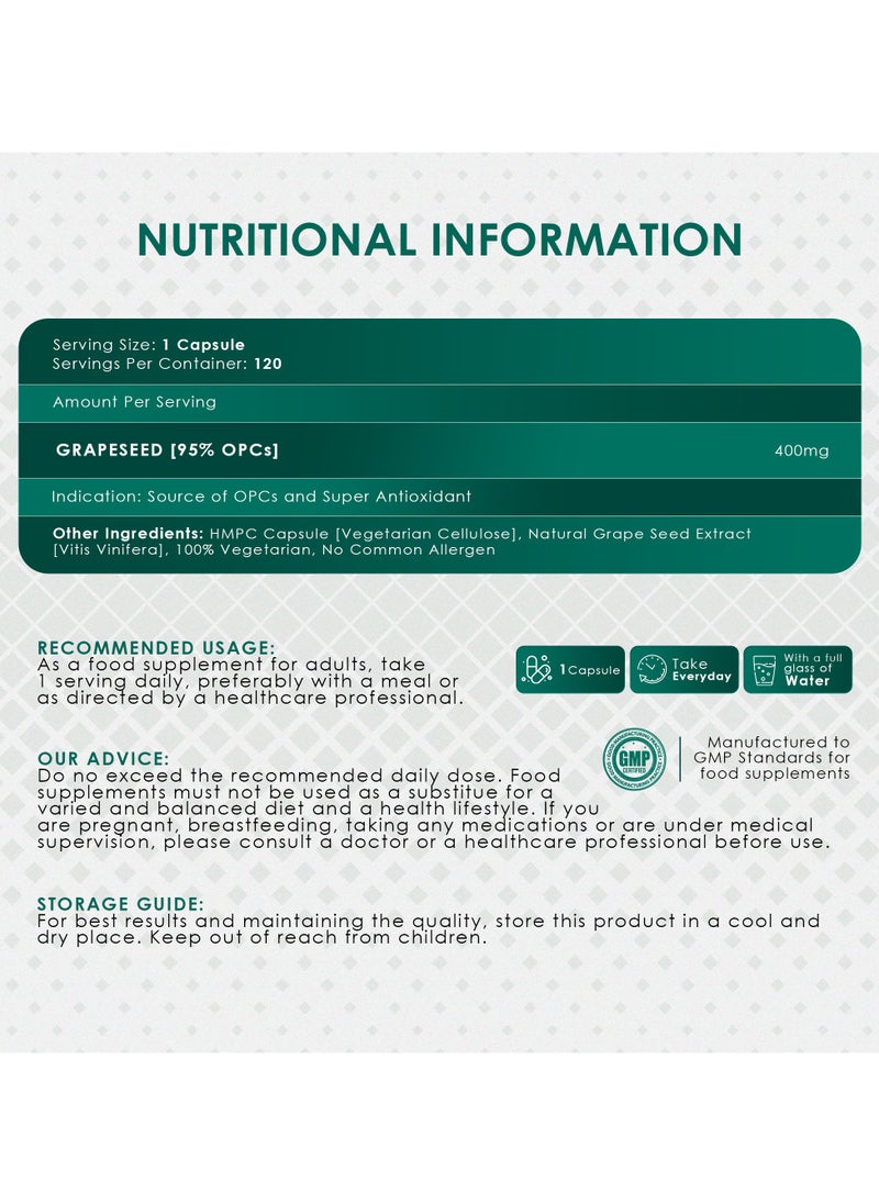 ambrosial - Ambrosial Grape Seed Extract Capsules 95% OPCs Polyphenols High Strength Grape Seed Supplement Strong Antioxidant Pack of 1-120 Vegan Capsules - Image 1