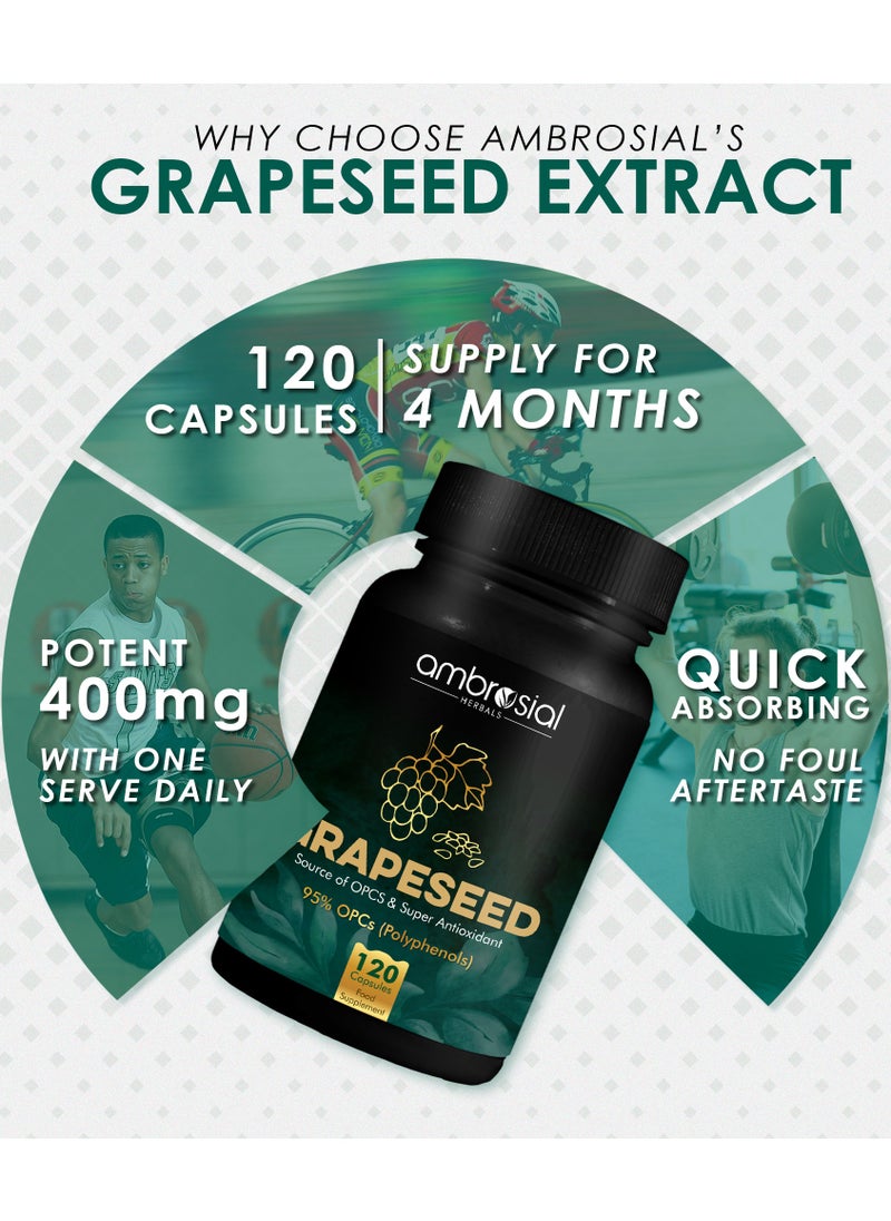ambrosial - Ambrosial Grape Seed Extract Capsules 95% OPCs Polyphenols High Strength Grape Seed Supplement Strong Antioxidant Pack of 1-120 Vegan Capsules - Image 1