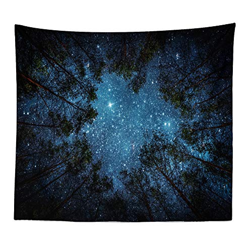 Llamazing Forest Tapestry Home Decor Landscape Living Room Bedroom Decoration Magic Tapestry Curtain (Looking Up at The Stars, 78''L×60''W) - Image 2
