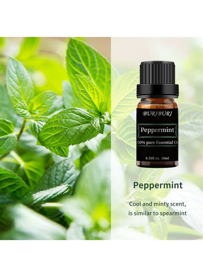 BURIBURI Lavender and Peppermint Essential Oil, 100% Pure, Undiluted, Natural, Organic Aromatherapy Essential Oils Gift Set, 10MLx2 - Image 2