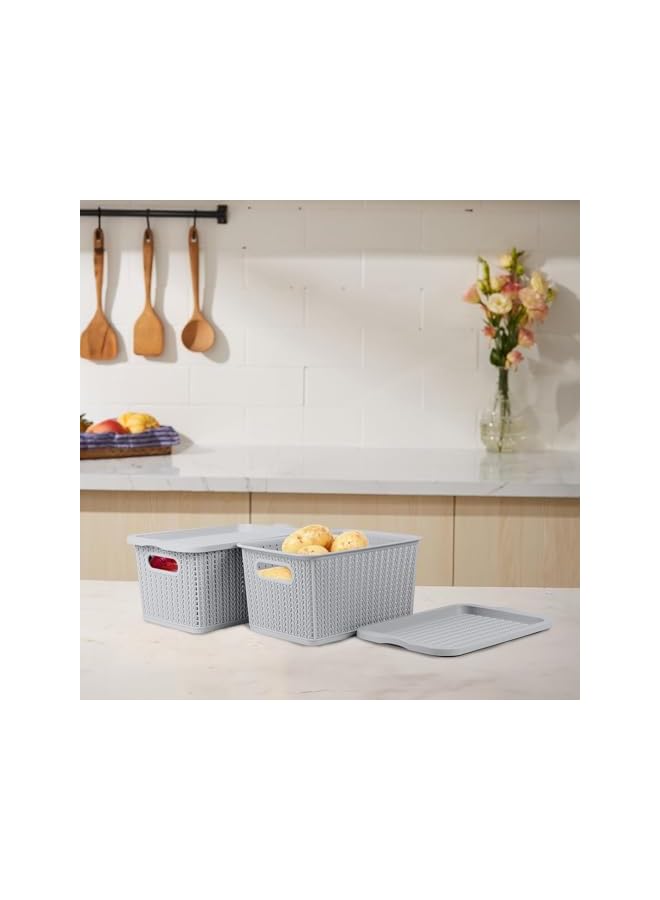 Green Tiger 2 Pack Vegetable Storage Set, Potato Onion Garlic Storage Set, Kitchen Canisters Vegetable Keeper Containers With Aerating Holes And Lid, Vegetable Storage Box Tin With Handle - Image 4