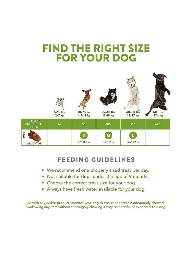 ويمزيس 24 قطعة من علكات التمساح متوسطة الحجم، خالية من الجلوتين، مكافآت طبيعية للكلاب2 - Image 4
