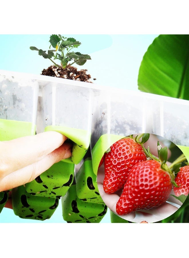 هاسذيب صينية بدء البذور HASTHIP® مع 12 وعاء زراعة، صينية متعددة الاستخدامات من السيليكون لبدء البذور مع غطاء شفاف للتهوية وصينية لتجميع الماء، وأداتين مزدوجتين لزراعة البذور، وحصيرة لنقل النباتات، و10 ملصقات فارغة. - Image 2