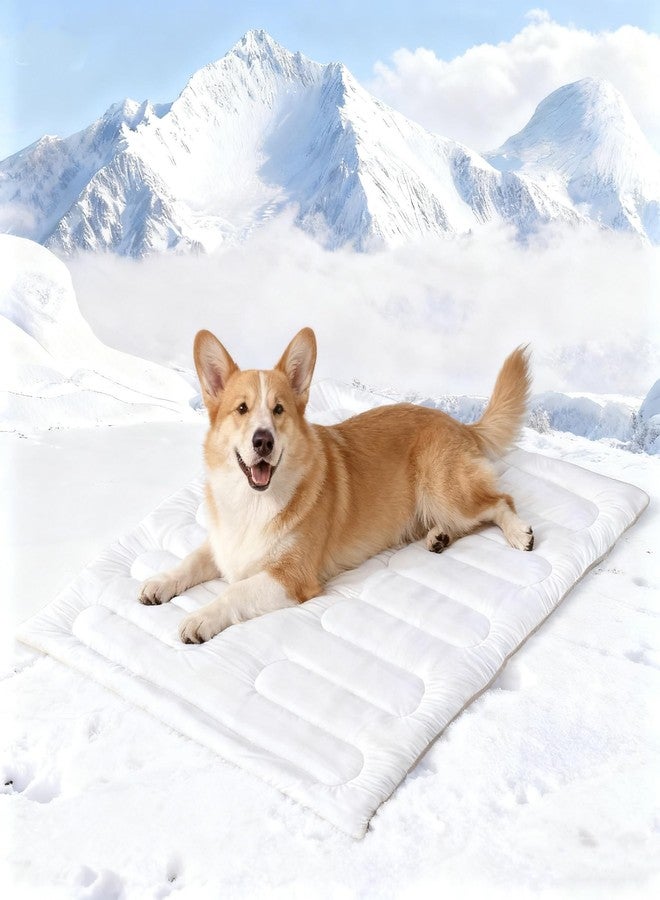 YOUWE7 حصيرة تبريد للكلاب من YOUWE7، حصيرة تبريد ذاتية قابلة للعكس للحيوانات الأليفة، سطح علوي من القماش البارد وظهر مخملي، سرير محمول للكلاب من قماش بارد كالثلج، وسادة تبريد صيفية سهلة الغسل للحيوانات الأليفة للاستخدام الداخلي والخارجي (كبير (48.0 بوصة × 27.9 بوصة)) - Image 1