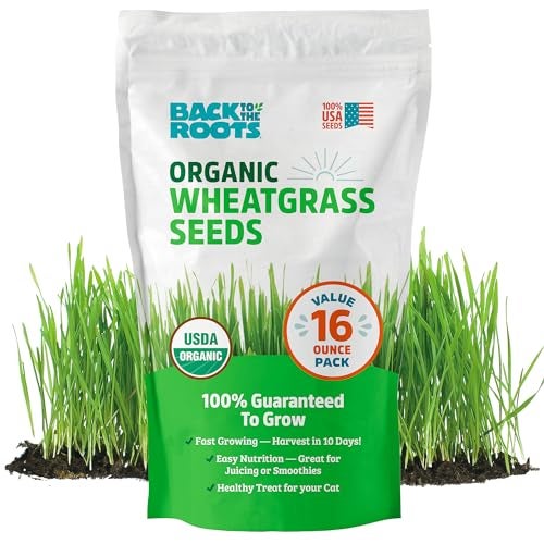 Back to the Roots 100% Organic Wheatgrass Seeds | 1 Pound Non-GMO | Nutrient Dense, Easy to Grow | Cat Grass Planter Seeds - Image 1