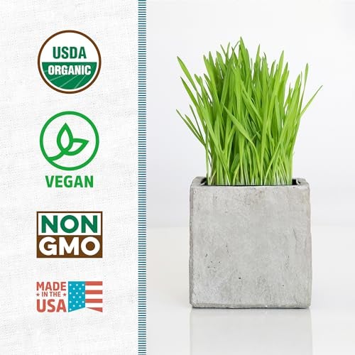 Back to the Roots 100% Organic Wheatgrass Seeds | 1 Pound Non-GMO | Nutrient Dense, Easy to Grow | Cat Grass Planter Seeds - Image 2