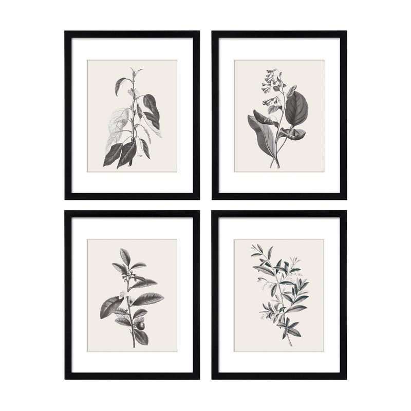 ArtbyHannah Framed Wall Art 11x14 inch Black Plant Wall Decor with Grey Picture Frames for Dinning Room Living Room Decorations 4 Pack