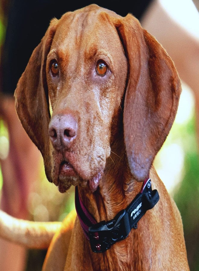 Rogz Airtech Classic Dog Collar Medium - Rock Red - Image 2