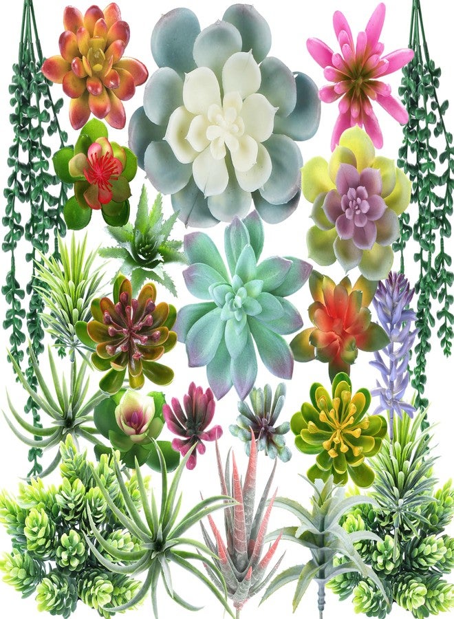 COTSEN 24 Pcs Artificial Succulent Plants Fake Succulent Plants Unpotted Faux Succulents Suitable for Office Family Restaurant Frame Kitchen Indoor Outdoor Decor - Image 1