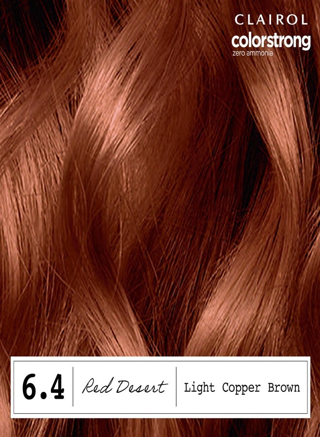 CLAIROL صبغة شعر كلايرول كولور سترونغ دائمة بدون أمونيا، 6.4 بني نحاسي فاتح - لون شعر أحمر صحراوي، عبوة من 1 - Image 3