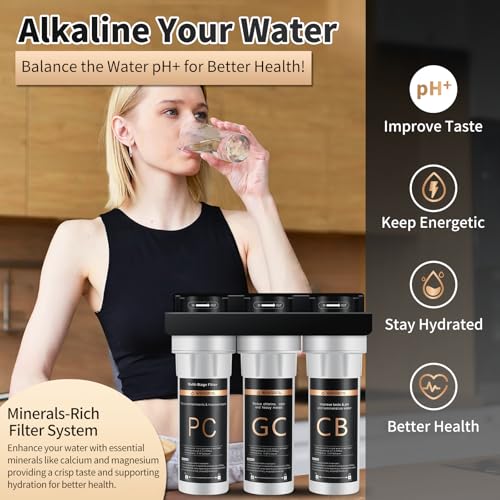 WINGSOL WINGSOL Replacement Cartridge Under Sink Water Filter, CB Filter, Multi-function, Reduce Lead & Odor, Increase pH, Remineralize Water, for #WS-US-002#WS-US-002 (F) #WS-US-003#WS-US-003 (F) - Image 3