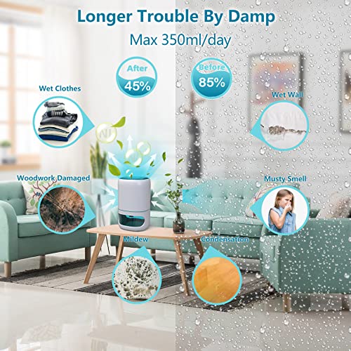 Hoomace Small Dehumidifiers for Bedroom w/Air Purifying Function, 1000 ml/35 oz for 2500 Cubic Feet (260 sq ft) with 7 Colorful LED Lights Timer Set Negative Ions Below 30 dB, Auto Shut-Down - Image 2