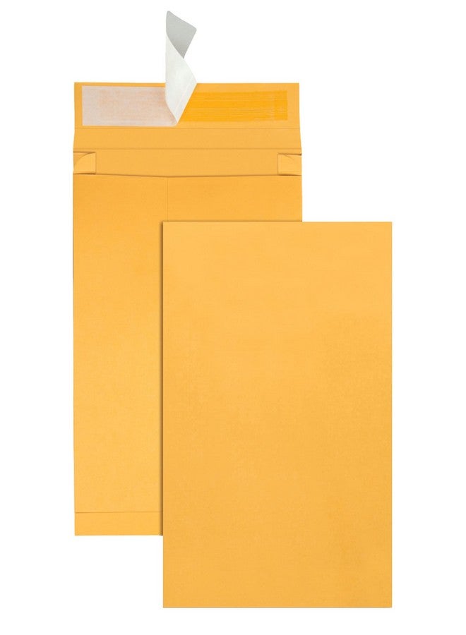 Quality Park Large Format/Catalog Envelopes Redistrip Kraft 10 X 15 25 Per Box (Qua93338)Light Brown - Image 2