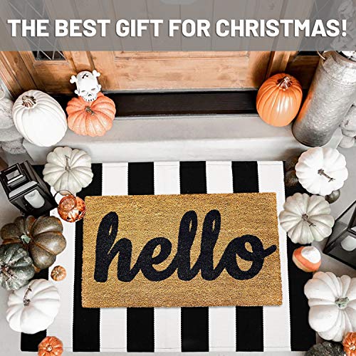 IOHOUZE Black White Striped Rug -27.5" X 43" Front Door Mats Outdoor,Washable Rug for Front Porch Decor,Spring Summer Welcome Mats Outdoor Indoor, Doormat for Farmhouse/Entryway/Home Entrance - Image 2