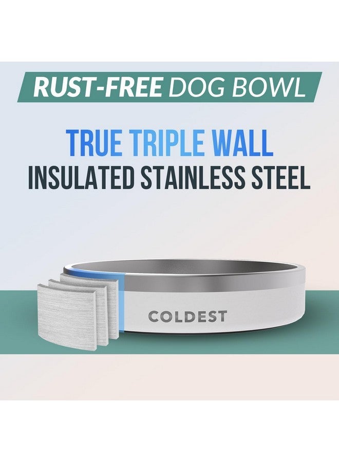 ذا كولديست ووتر وعاء طعام للكلاب - مصنوع من معدن مقاوم للصدأ، غير قابل للانزلاق، معزول بثلاث طبقات من الفولاذ المقاوم للصدأ - مقاوم للانسكاب ومتين - وعاء ماء للكلاب والقطط والحيوانات الأليفة، آمن للغسل في غسالة الأطباق (21 أونصة، أبيض لامع) - Image 3