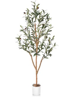 Olive Tree 120cm